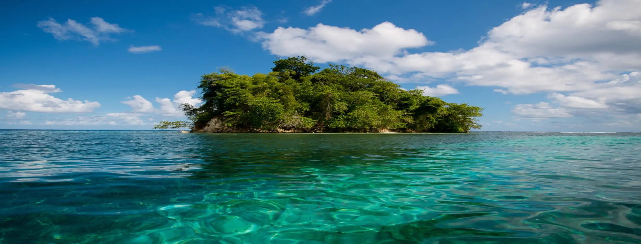 Image for Beauty of Port Antonio